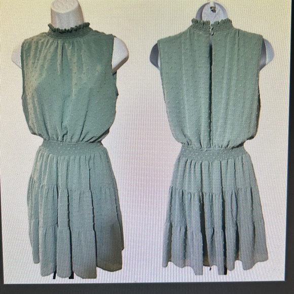 Sweet Wanderer Chiffon Sleeveless Rose Color Dress-Size Large - Picture 2 of 11